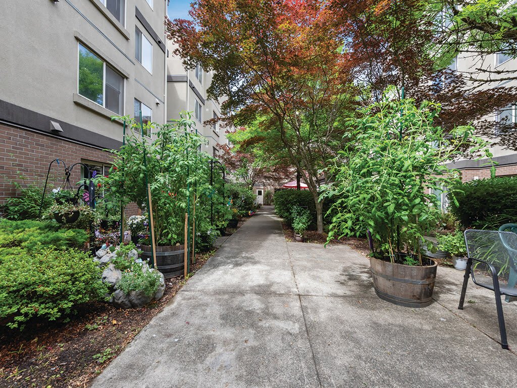 Boardwalk Senior Apartments Olympia Apartments for Rent